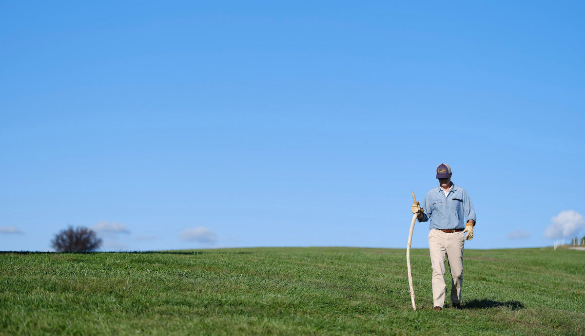 PennBilt Plainsman Pant in Stone