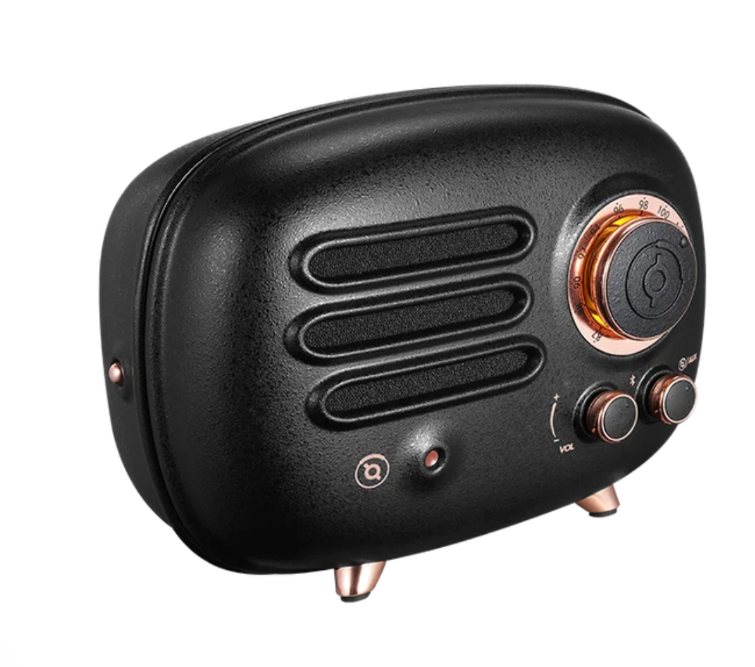 Muzen - Portable FM Radio & Bluetooth Speaker - Knight Black