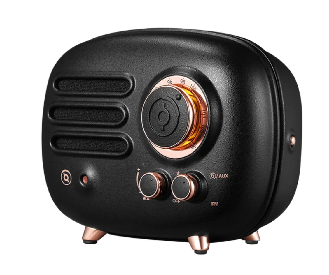 Muzen - Portable FM Radio & Bluetooth Speaker - Knight Black