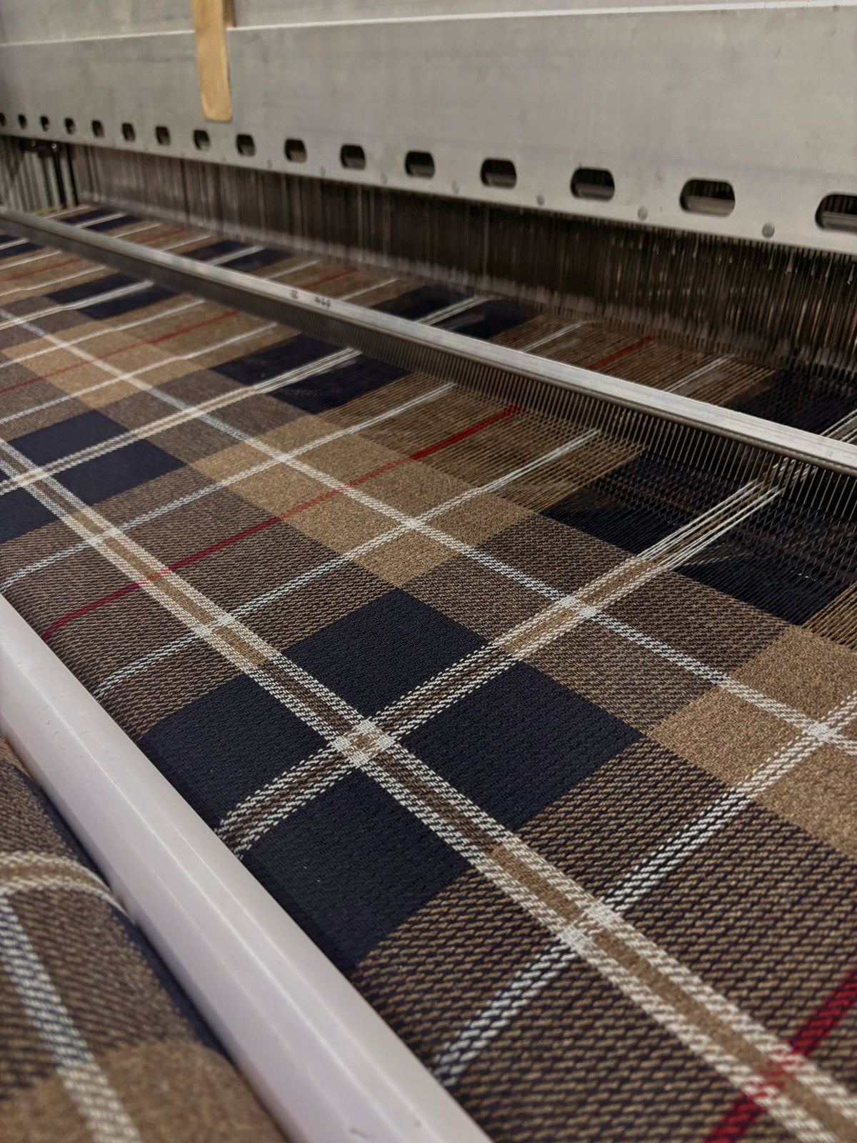 Steplane - The Nantucket Tartan™