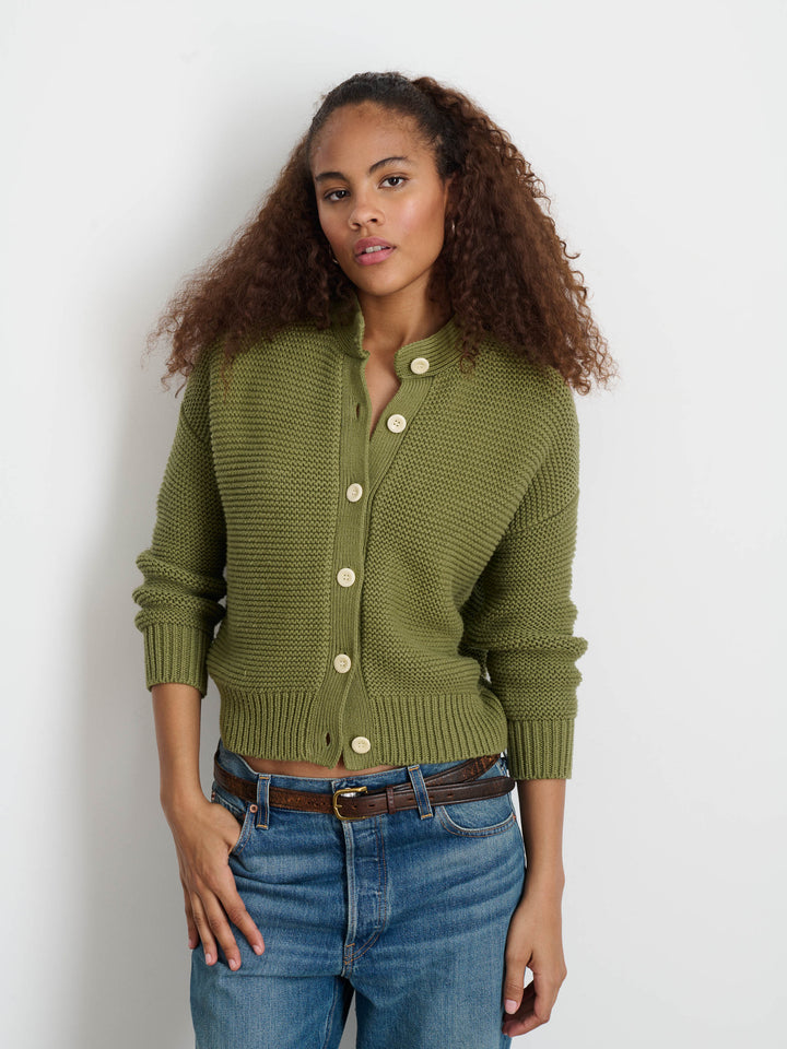 Alex Mill Nico Chunky Cardigan Sweater Faded Grove